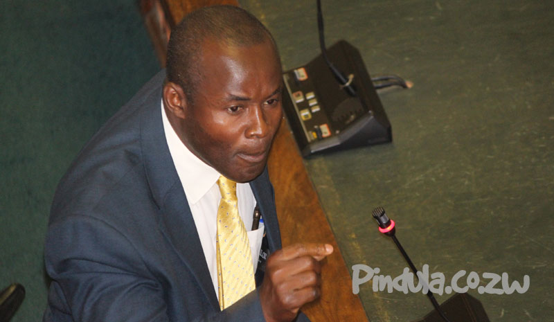 Temba Mliswa Stresses Point in Parliament