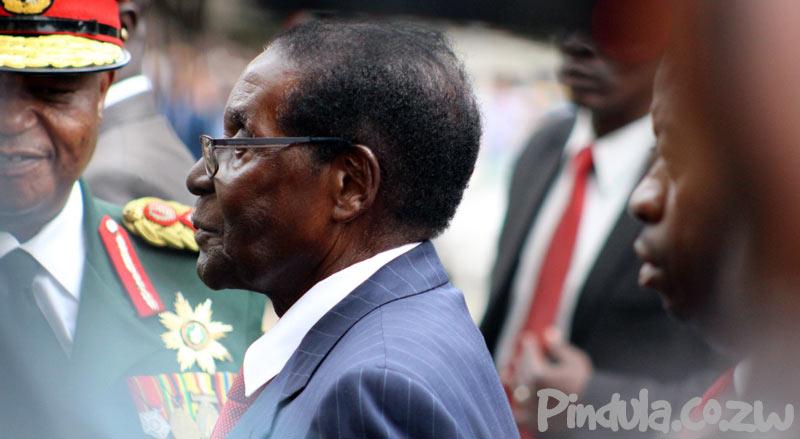 President Robert Mugabe Side View