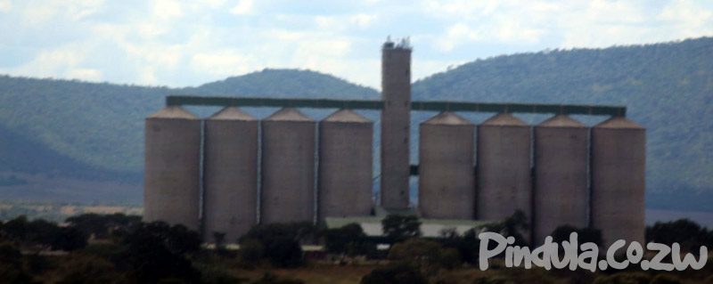 Zimbabwe Withdraws COVID-19 Cushion Citing Bumper Harvest