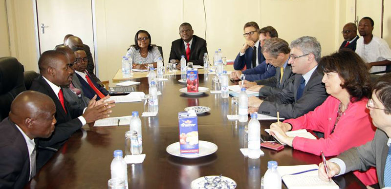 Chamisa, MDC Alliance Meet EU Pre-Election Assessment Team – Pindula News