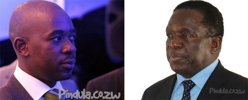 Nelson Chamisa, Emmerson Mnangagwa chiwenga 2023 elections