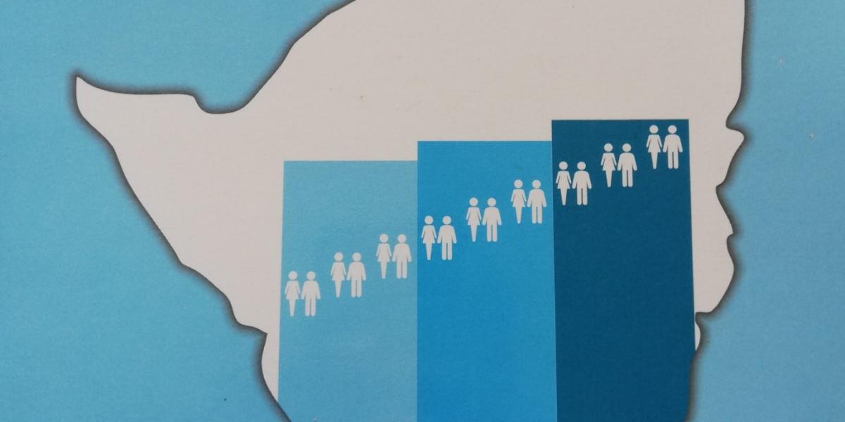Final Census Results Expected 6 Months After Exercise – Pindula News