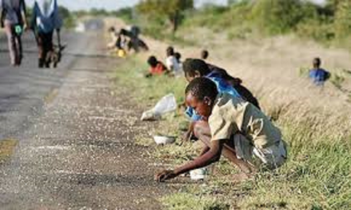hunger maize grain Zimbabwe meal