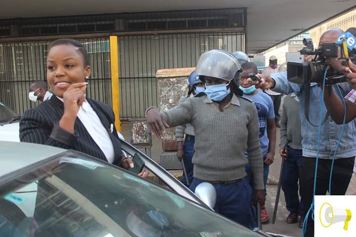 Fadzayi MahereMDC Alliance spokesperson resolutions recalls chilonga Evictions anti-Fadzayi campaign