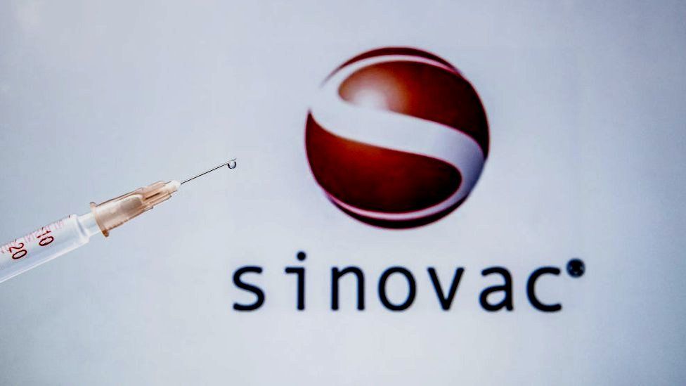 Sinovac COVID-19 Vaccines efficacy South Africa approved Zimbabwe 2 million doses