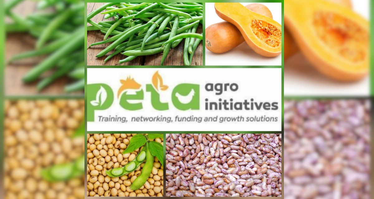 Peta Agro Offers Agric Training In Green Beans, Soya Beans, Sugar Beans