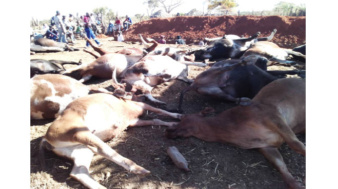 Govt Dispatches January Disease Vaccines To Midlands