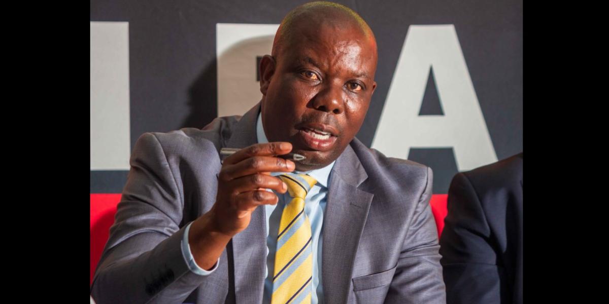 I Promise We'll Not Disappoint You - ZIFA Acting President