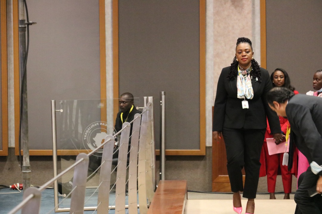 Tatenda Mavetera Zim ICT Minister former actress