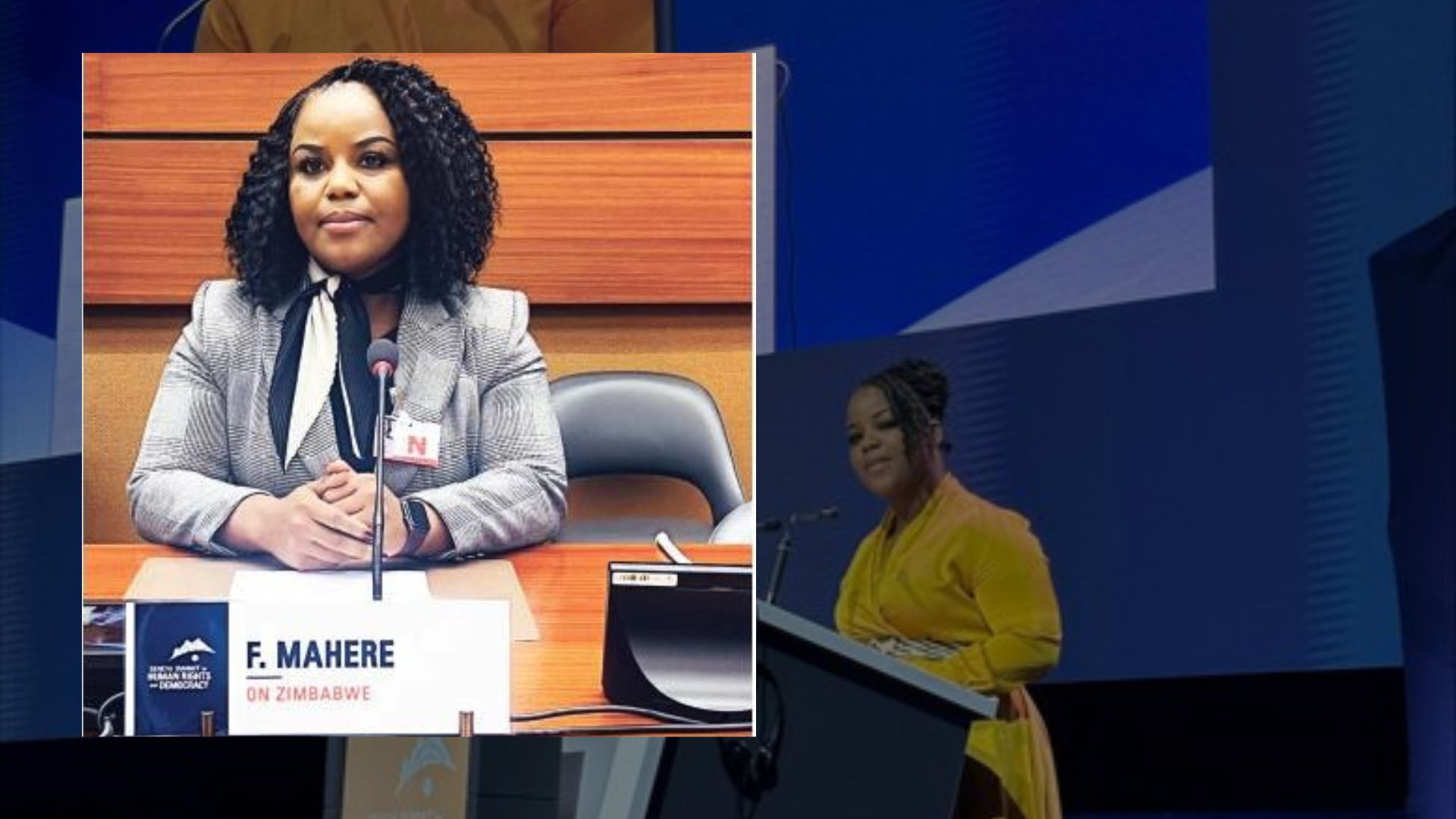 The Herald Accused Mahere Of Lying At UN Human Rights Summit