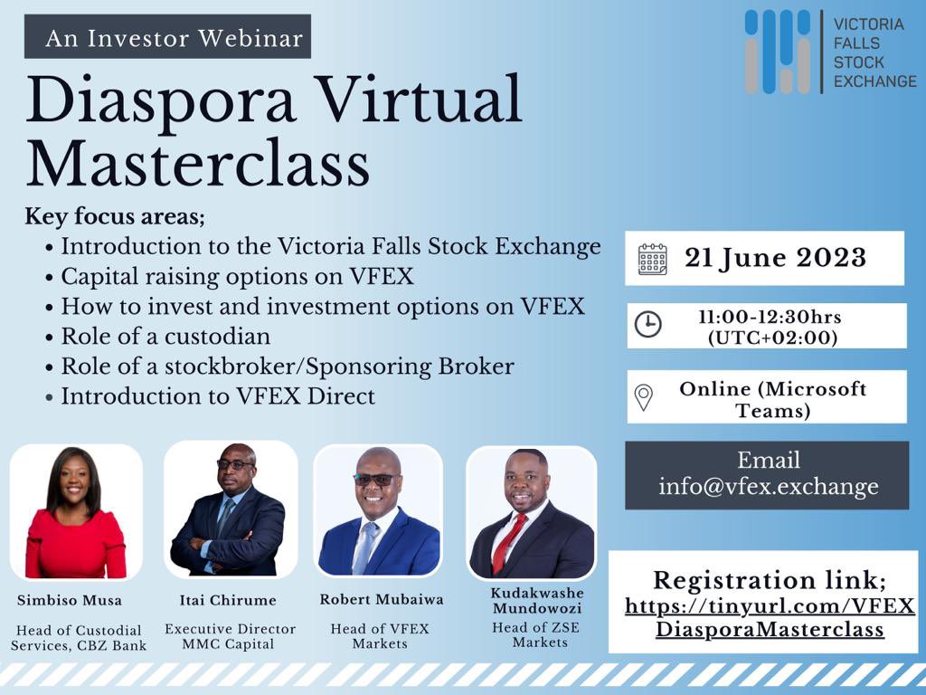 Diaspora Vic Falls Stock Exchange